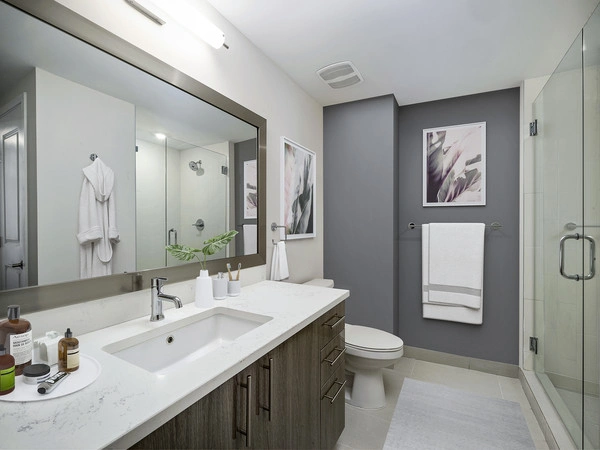 Indian Digital Market